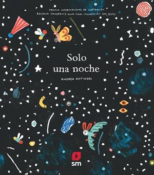 SOLO UNA NOCHE | 9788411823838 | ANTINORI, ANDREA | Llibreria La Font de Mimir - Llibreria online Barcelona - Comprar llibres català i castellà
