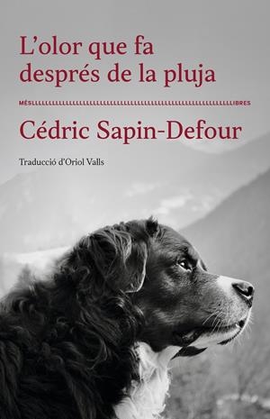 L'OLOR QUE FA DESPRÉS DE LA PLUJA | 9788417353568 | CÉDRIC SAPIN-DEFOUR | Llibreria La Font de Mimir - Llibreria online Barcelona - Comprar llibres català i castellà
