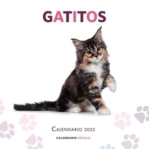 CALENDARIO GATITOS 2025 | 9788448041656 | AA. VV. | Llibreria La Font de Mimir - Llibreria online Barcelona - Comprar llibres català i castellà