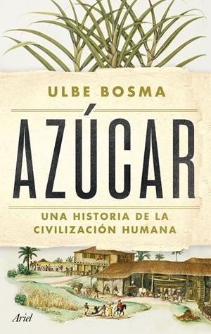 AZÚCAR | 9788434438286 | BOSMA, ULBE | Llibreria La Font de Mimir - Llibreria online Barcelona - Comprar llibres català i castellà