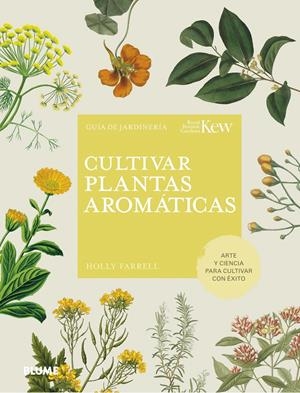 CULTIVAR PLANTAS AROMÁTICAS | 9788419499158 | FARRELL, HOLLY | Llibreria La Font de Mimir - Llibreria online Barcelona - Comprar llibres català i castellà