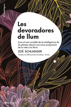 LES DEVORADORES DE LLUM | 9788413564821 | SCHLANGER, ZOË | Llibreria La Font de Mimir - Llibreria online Barcelona - Comprar llibres català i castellà