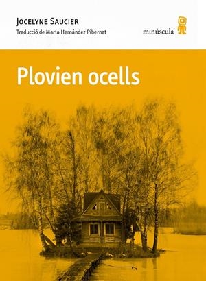 PLOVIEN OCELLS | 9788412662092 | SAUCIER, JOCELYNE | Llibreria La Font de Mimir - Llibreria online Barcelona - Comprar llibres català i castellà