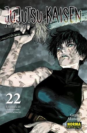 JUJUTSU KAISEN 22 CATALA | 9788467969948 | AKUTAMI, GEGE | Llibreria La Font de Mimir - Llibreria online Barcelona - Comprar llibres català i castellà