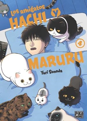 LOS AMIGATOS HACHI Y MARURU 4 | 9782811699246 | SONODA, YURI | Llibreria La Font de Mimir - Llibreria online Barcelona - Comprar llibres català i castellà