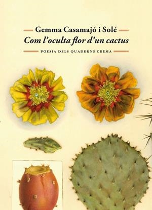 COM L'OCULTA FLOR D'UN CACTUS | 9788477277071 | CASAMAJÓ I SOLÉ, GEMMA | Llibreria La Font de Mimir - Llibreria online Barcelona - Comprar llibres català i castellà