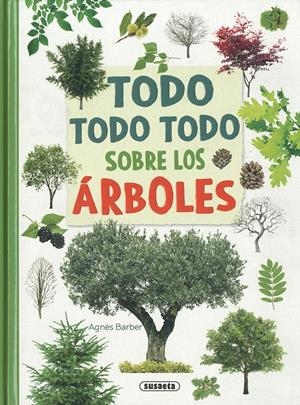 TODO, TODO TODO SOBRE LOS ÁRBOLES | 9788410845831 | BARBER, AGNÈS | Llibreria La Font de Mimir - Llibreria online Barcelona - Comprar llibres català i castellà