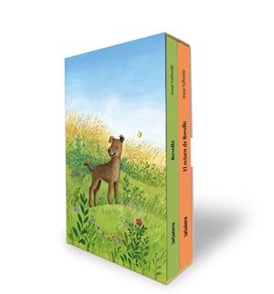 ESTOIG ROVELLÓ | 9788424676520 | VALLVERDÚ I AIXALÀ, JOSEP | Llibreria La Font de Mimir - Llibreria online Barcelona - Comprar llibres català i castellà