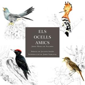 ELS OCELLS AMICS | 9788412949025 | DE SAGARRA, JOSEP MARIA | Llibreria La Font de Mimir - Llibreria online Barcelona - Comprar llibres català i castellà