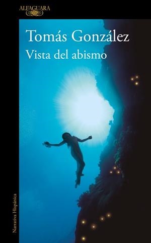 VISTA DEL ABISMO | 9788410299443 | GONZÁLEZ, TOMÁS | Llibreria La Font de Mimir - Llibreria online Barcelona - Comprar llibres català i castellà