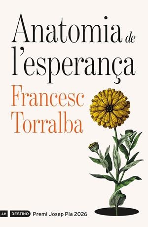 ANATOMIA DE L'ESPERANÇA | 9788419734310 | TORRALBA ROSELLÓ, FRANCESC | Llibreria La Font de Mimir - Llibreria online Barcelona - Comprar llibres català i castellà