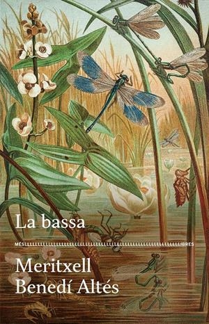 LA BASSA | 9788417353728 | BENEDÍ, MERITXELL | Llibreria La Font de Mimir - Llibreria online Barcelona - Comprar llibres català i castellà