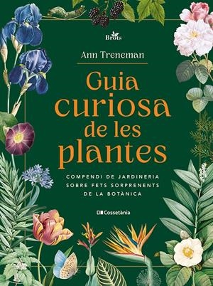 GUIA CURIOSA DE LES PLANTES | 9788413565354 | TRENEMAN, ANN | Llibreria La Font de Mimir - Llibreria online Barcelona - Comprar llibres català i castellà
