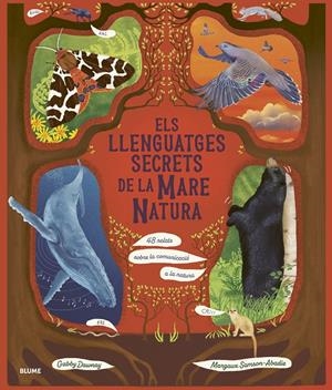 ELS LLENGUATGES SECRETS DE LA MARE NATURA | 9788410469952 | DAWNAY, GABBY/SAMSON ABADIE, MARGAUX | Llibreria La Font de Mimir - Llibreria online Barcelona - Comprar llibres català i castellà