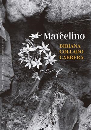 MARCELINO | 9788410476431 | COLLADO CABRERA, BIBIANA | Llibreria La Font de Mimir - Llibreria online Barcelona - Comprar llibres català i castellà