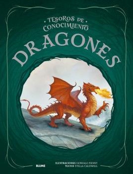 TESOROS CONOCIMIENTO. DRAGONES | 9791387881191 | KENNY, GONZALO/CALDWELL, STELLA | Llibreria La Font de Mimir - Llibreria online Barcelona - Comprar llibres català i castellà
