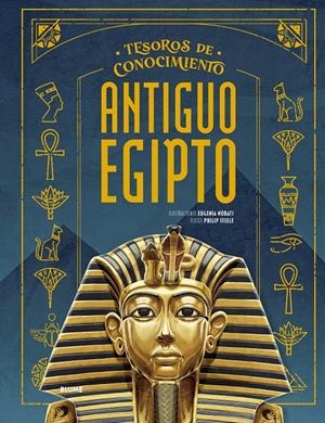 TESOROS CONOCIMIENTO. ANTIGUO EGIPTO | 9791387881214 | NOBATI, EUGENIA/STEELE, PHILIP | Llibreria La Font de Mimir - Llibreria online Barcelona - Comprar llibres català i castellà