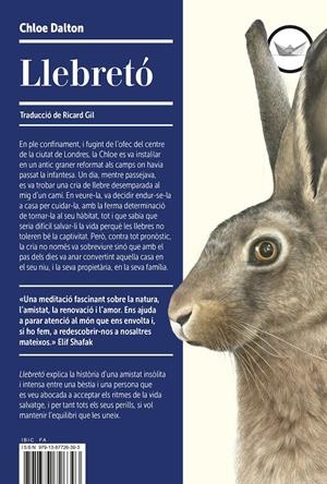 LLEBRETÓ | 9791387726393 | DALTON, CHLOE | Llibreria La Font de Mimir - Llibreria online Barcelona - Comprar llibres català i castellà