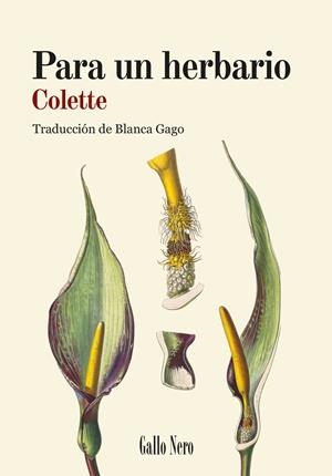 PARA UN HERBARIO | 9788419168887 | COLETTE, SIDONIE-GABRIELLE | Llibreria La Font de Mimir - Llibreria online Barcelona - Comprar llibres català i castellà