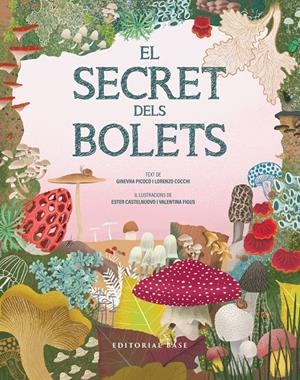 EL SECRET DELS BOLETS | 9791387728502 | PICOCO, GINEVRA/COCCHI, LORENZO | Llibreria La Font de Mimir - Llibreria online Barcelona - Comprar llibres català i castellà