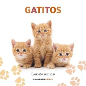 CALENDARIO GATITOS 2027 | 9788448049300 | AA. VV. | Llibreria La Font de Mimir - Llibreria online Barcelona - Comprar llibres català i castellà