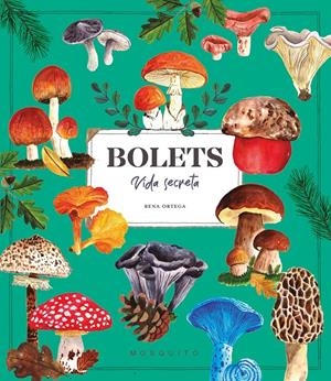 BOLETS. VIDA SECRETA | 9788410417687 | ORTEGA, RENA | Llibreria La Font de Mimir - Llibreria online Barcelona - Comprar llibres català i castellà