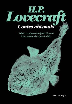 CONTES ABISMALS | 9791387969530 | LOVECRAFT, H. P. | Llibreria La Font de Mimir - Llibreria online Barcelona - Comprar llibres català i castellà