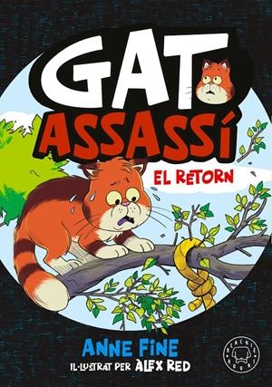 DIARI D’UN GAT ASSASSÍ. EL RETORN | 9791388154560 | FINE, ANNE | Llibreria La Font de Mimir - Llibreria online Barcelona - Comprar llibres català i castellà